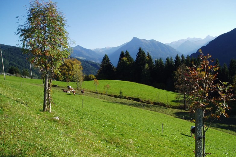 Wanderwege mit herrlicher Aussicht direkt vor dem Haus